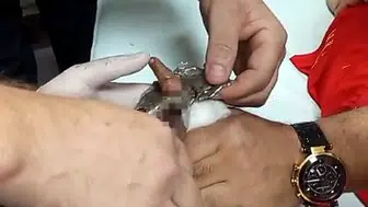 Bitlis'te lokanta kazası itfaiyeyi harekete geçirdi