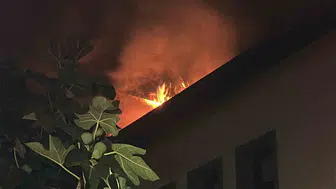 Sapanca'da villa yangını korkuttu