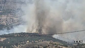 Adıyaman Gerger’de ormanlık alanda yangın paniği