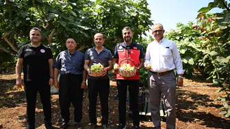 Kahramanmaraşlı çiftçinin yüzü Abbas inciriyle güldü