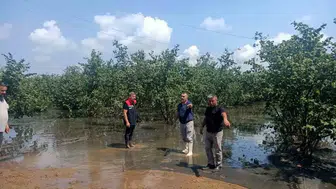 Çarşamba’da selin vurduğu 30 mahallede hasar bilançosu çıkarılıyor