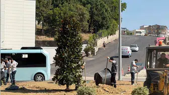 Karabük'ün kavşakları yeşilleniyor, 200 ağaç dikiliyor