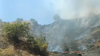 Adıyaman'da çöplük yangını ormana sıçradı