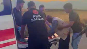 İslahiye’de mera kavgası kanlı bitti