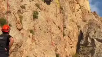 Faraşin Yaylası’nda dört günlük yaşam mücadelesi sona erdi