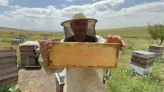 Kars yaylalarında bal hasadı başladı Fiyatlar 2 bin 500 liraya ulaştı
