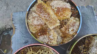 Ağaç kovuğundaki bal 15 bin lira, çeyrek altını solladı