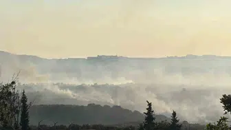 Gebze'de alevler ormanı sardı, ekipler havadan ve karadan yangına müdahale ediyor