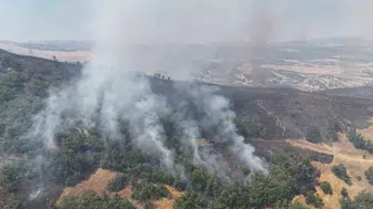 Tunceli ormanlarını alevler sardı