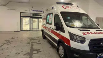 Zonguldak'ta budama kazası Ağaçtan düşen adam ağır yaralandı