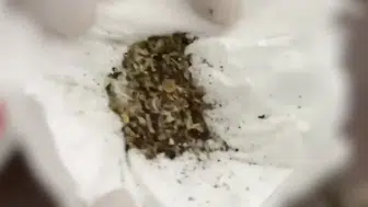 Sakarya'da yaşlı adamın evinden uyuşturucu fabrikası çıktı