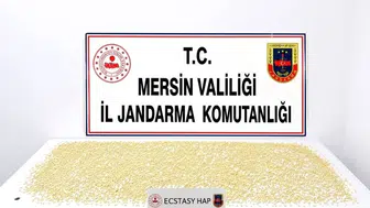 Mersin'de uyuşturucu operasyonu