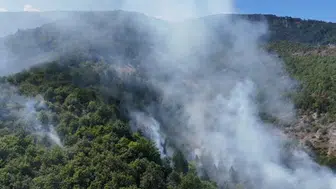 Sinop’ta ormanlık alanda alevler yükseliyor