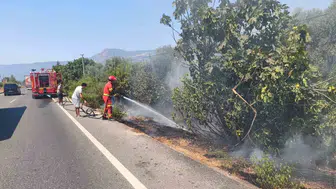 Ula'da kuru otlar alev aldı, itfaiye yangını büyümeden söndürdü
