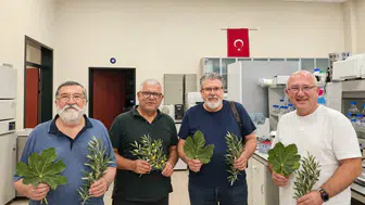 Aydın’da bitkilerin şifasını laboratuvar ortamında keşfediyorlar