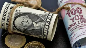Alman devinden Türk lirası için korkutan tahmin: Dolar o tarihte rekor kıracak