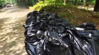 Belgrad Ormanı'ndaki çöp krizine ekipler müdahale etti