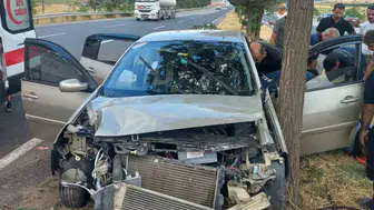 Elazığ’da kontrolden çıkan otomobil ağaca çarptı
