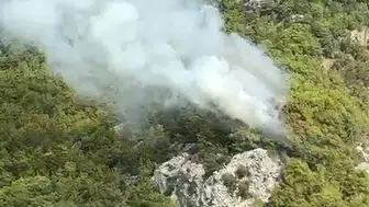 Çıralı ormanlarında yangın paniği