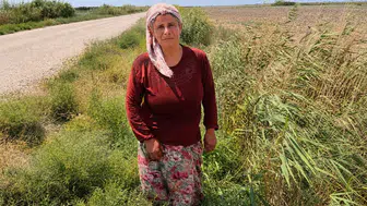 Hataylı Şirin’in tek geçim kaynağı olan hayvanları birer birer öldü