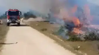 Eflani'de orman yangını 5 dekar kül oldu