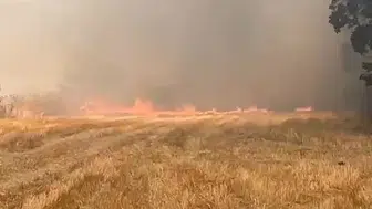 Rüzgarın etkisiyle büyüyen anız yangını Eskipazar'da panik yarattı