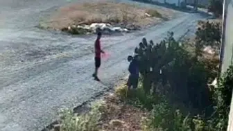 Sahildeki yazlıkçılar bahçelere dadandı, kamera kaydetti