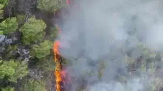 Kemer Çıralı’da orman yangını paniği