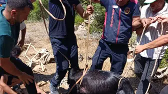 Hatay'da kuyuya düşen keçiyi itfaiye ekipleri kurtardı