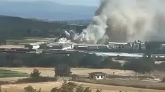 Mudanya’da tavuk çiftliği alevlere teslim oldu
