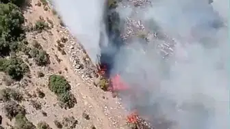 Kiraz'da alevler ormana sıçradı, 9 hava aracı müdahale ediyor