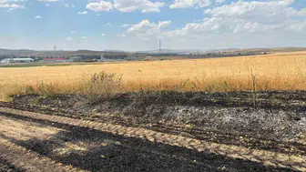 Yozgat Sorgun’da elektrik telleri tarlayı küle çevirdi