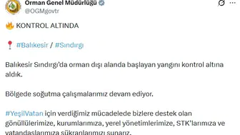 Balıkesir Sındırgı’daki orman yangını söndürüldü