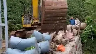 Rize’de çay hasadında iş makinesi pratikliği