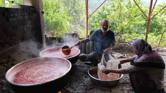 Kızılcık şerbeti kilosu 1000 TL'yi buldu, kara kazanlar kuruldu