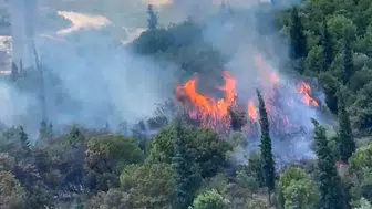 Dilovası ormanlarında çıkan yangın 10 hektarlık alanı küle çevirdi