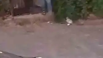 Şanlıurfa sokaklarında dehşet anları