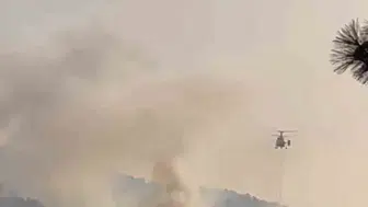 Bolu Göynük orman yangınında korkulan olmadı