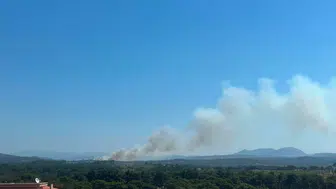 Rüzgar alevleri büyüttü, Ayvacık'ta yangına 10 uçak ve helikopterle müdahale var