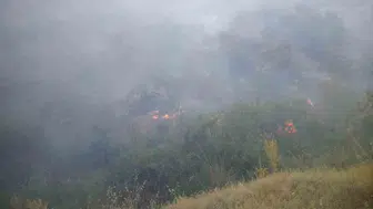 Malatya Pütürge'de ormanlık alanda yangın paniği