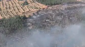 Bilecik ormanlarında korkutan yangın kontrol altına alındı