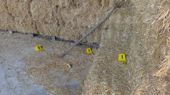 Sabah 07.30’da çiftlikte alacak kavgası 3 el ateş, 2 bacağa isabet