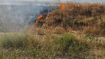 Şuhut kırsalında anız yangını korkuttu