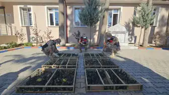 Traktörün römorku adeta kuş kafesine dönmüş: 2 bin saka kuşuna dev ceza