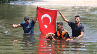 853 yıldır aynı aşk hikayesi Çobanlar koyunlarıyla Menderes'e atladı