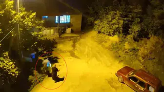 Artvin’de gece baskını Ayı sesi duyan anne ve oğlu eve kaçtı