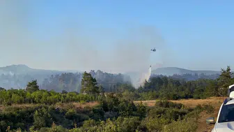 Çanakkale Bayramiç’te orman yangını alarmı