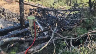 Ula'da orman yangınına köylü ve ekipler birlikte yetişti