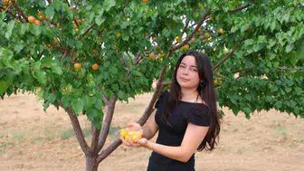 Susuz yaylada kayısı mucizesi 17 yaşındaki gençten Türkiye birinciliği