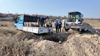 Mersin'de zehirli midye operasyonu